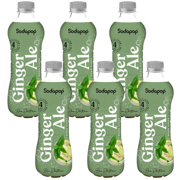 6x Syrop SODAPOP Bar-Edition Ginger 500ml