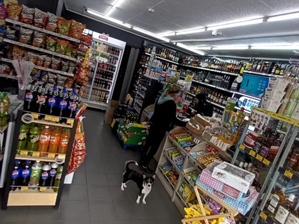 Wnętrze punktu wymiany nabojów CO2 pp-DELIAKSZOO_14, Dunikowskiego 2, Ruda Śląska