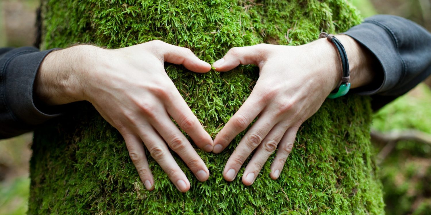 Heart hand on tree with moss, loving the nature ekologia ręce środowisko drzewo